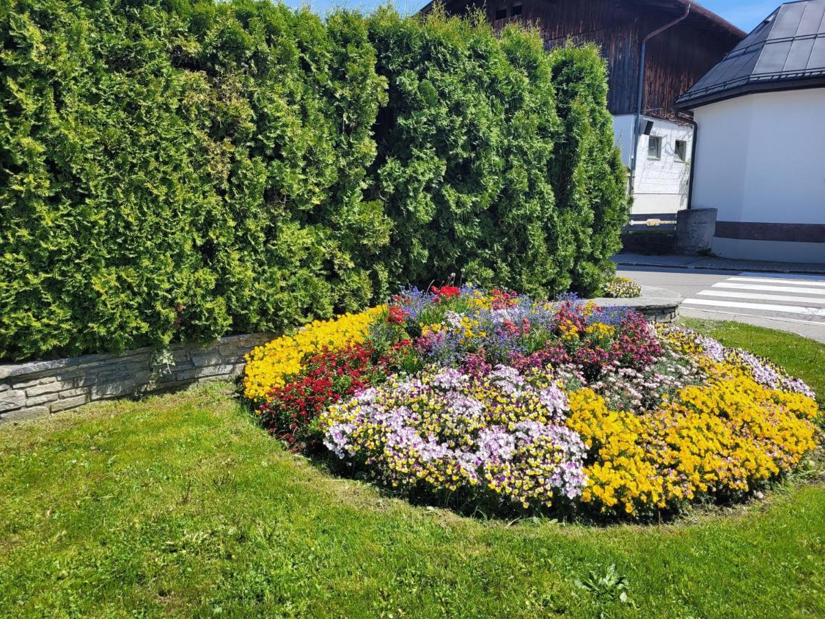 Ferienwohnung Schatz Breitenwang Luaran gambar