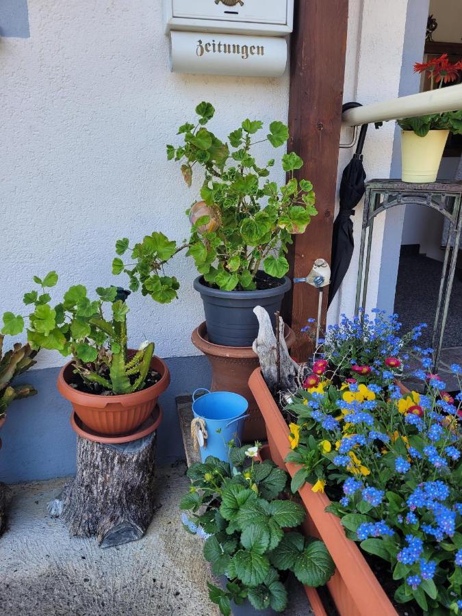 Ferienwohnung Schatz Breitenwang Luaran gambar